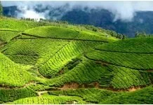 Top 10 Indian Destinations You can Visit this Monsoon