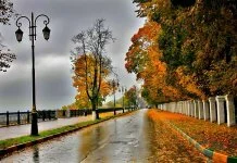 Nature Beauty during Rainy Season in India